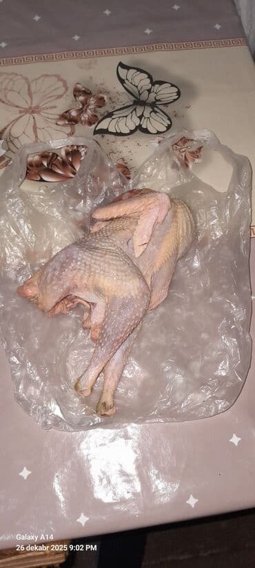 Ləpələr: Təmiz yeni kəsilmiş kənd fərələri və beçələri ÖZ məhsulumuzdur say — 2