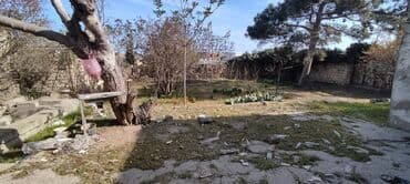 земельный участок в деревне: 6 соток, Для бизнеса, Собственник — 6