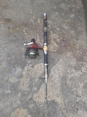 ovcular evi: Bir dene balig tutan unvan Bileceri — 2