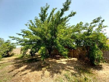 ramanada evler: Bakı, Novxanı, 230 kv. m, 6 otaqlı, Hovuzlu, Kanalizasiya, Qaz, Su — 8