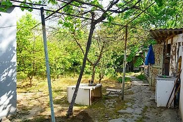 turkanda bag evleri: Bağ evi və torpaq sahəsi - Geniş həyət: yaşıllıqla əhatəli, meyvə — 7