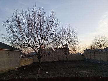 tap az zigda kiraye evler: 6 sot, Tikinti, Bələdiyyə — 1