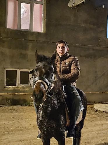 Bogazdi 4 yasi var yorqasi 20 25 30 du caparaqi 40 45 di oynaq maydan