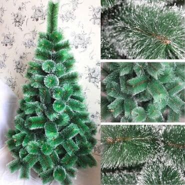 Yolka lalafo.az -da Yolka