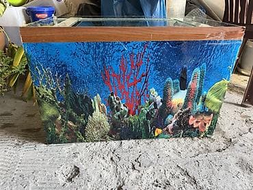 heyvan derisi: Dördbucaq akvarium, Boş, 200 l — 3