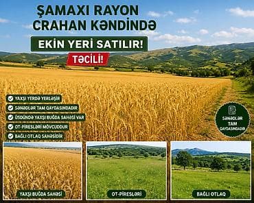 kreditle torpaq: Kənd təsərrüfatı, Kupça (Çıxarış) — 1