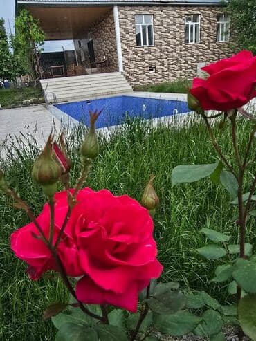 150 kv. m, 3 otaqlı, Kombi, Qaz, İşıq