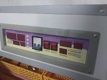 İnkubatorlar: 1100 yumurta, Tam avtomat — 4