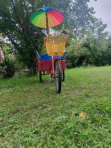 3 təkər velosiped: Uşaq və ailə gəzintiləri üçün 3 təkərli sərnişin velosipedi - Tip — 2