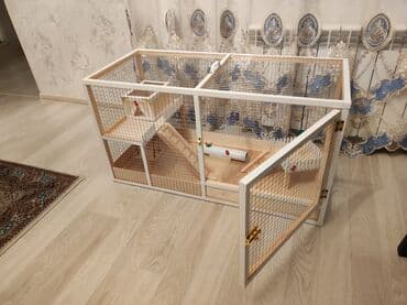 ag dovsan: Dovşan,hamster,şinşila,bildirçin,cücə,xamyak,pişik,quş ve s kimi ev — 3