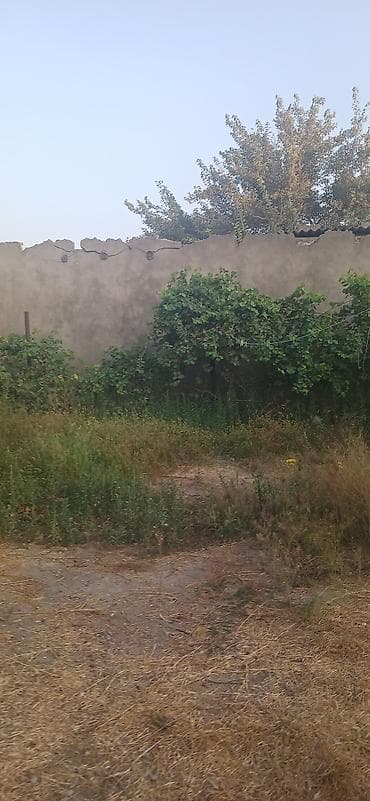 Mənzillər: 4 sot, Tikinti, Maklerlər narahat etməsin, Kupça (Çıxarış), Texniki pasport — 4