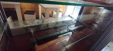 lotus soyuducu: Şirniyyət üçün, 120 * 165 * 75 — 6