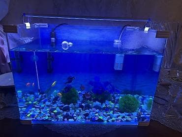 LED işıqlı akvarium komplekti - Şəffaf şüşə akvarium, düzbucaqlı — 5