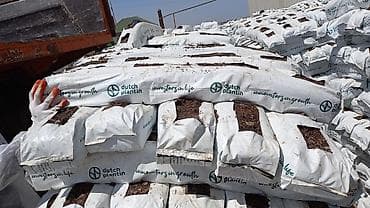 Çöl bitkiləri: Ucuz və Keyfiyyətli toptan kokobit satışı, 2025 ilin kokobitidir süper — 2