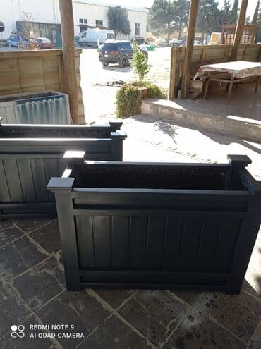 Digər bitkilər: Bir başa sexdən.Sex qiymətinə. ♦️Endrim 2025 il sonu ▶️İstenilən — 4