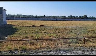 Tikinti, Kupça (Çıxarış)