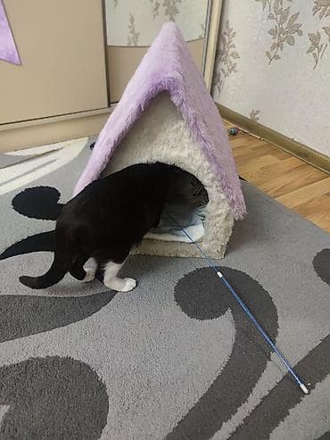 гусь: Pişik evi – yumşaq plyuş materialdan, daxili yastıqlı - Forma: ev — 1