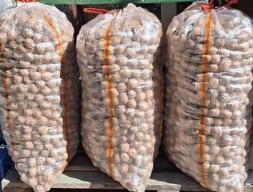 çərəz: Yaxşı Rastov qozu var. Keyfiyyətli məhsuldur. 15-16 kiloluq — 2