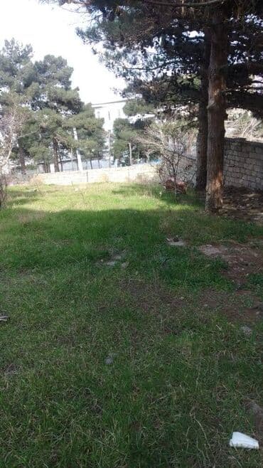 3 sot, Tikinti, Makler, Kupça (Çıxarış) lalafo.az -da 3 sot, Tikinti, Makler, Kupça (Çıxarış)