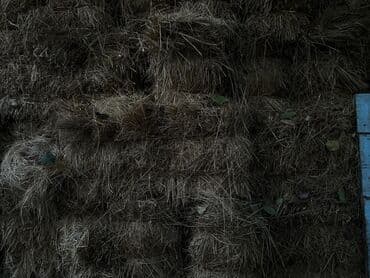 Heyvanlar üçün mallar: Salam. Yonca qarışıq ot presləridir. Bağlı yerdə saxlanılıb, göyləri — 3