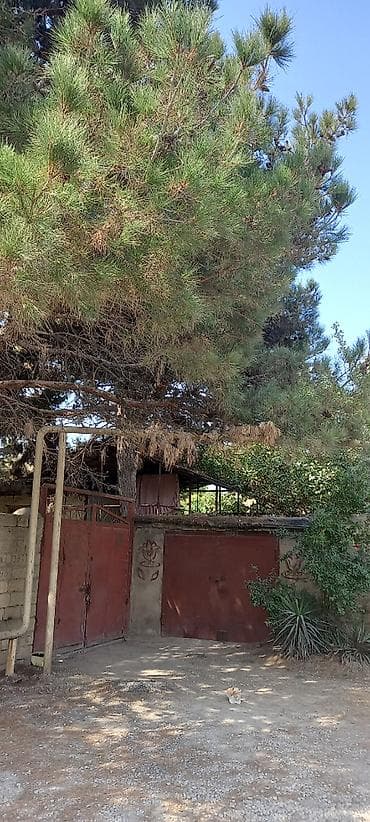 Qarajlar: 50 sot, Mülkiyyətçi, Kupça (Çıxarış) — 5