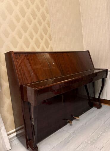 Akkordeonlar: Piano, Akustik — 2