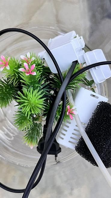 akvarium xırda balığı: Şüşə akvarium seti - Şəffaf, dairəvi şüşə akvarium qabı (balaca — 2