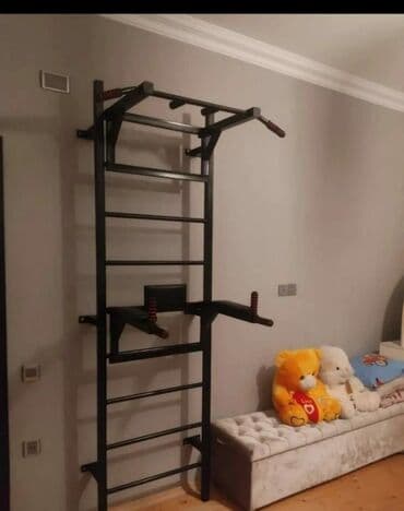 Şvec stenka Usaqlar ve boyukler ucun 250 kq ceki goturur Turnik bruss