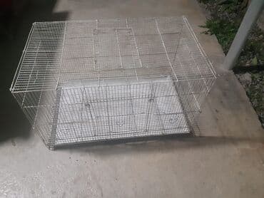 baliq tutmaq ucun yemler: 2 si biryerde 100manat

- yalniz whatcapla — 5