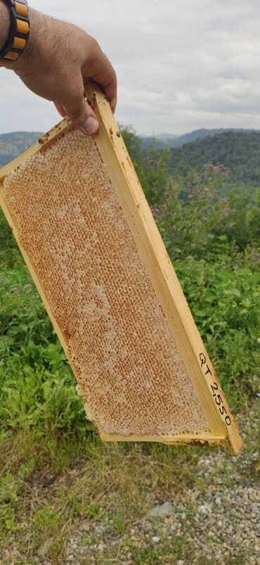 продается мед: Elf bee's 1977 eco product for health and longevity tovuzun — 9