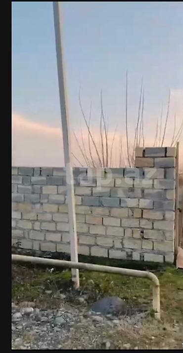 torpaq gəncə: 10 sot, Kənd təsərrüfatı, Kupça (Çıxarış) — 3