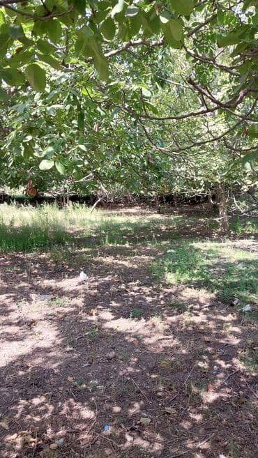 binə atçılıq torpaq satılır: 8 sot, Tikinti, Maklerlər narahat etməsin, Kupça (Çıxarış) — 4