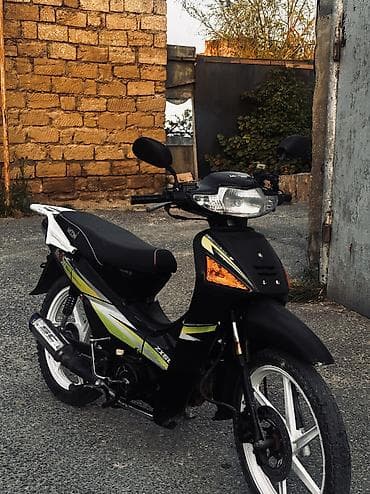 - zx50, 2024 год