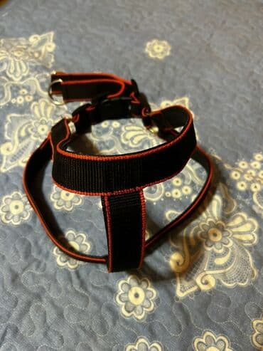 enzo шампунь отзывы: İt aksesuarları dəsti, tek tek qiymetler qeyd edilib endirim yoxdur — 2