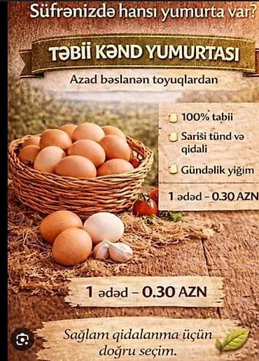 süd qiymeti: Təbii kənd yumurtası - Azad bəslənən toyuqlardan. - 100% təbii. - — 1