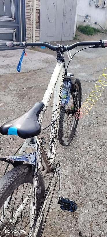 volesbet: Dağ/şosse tipli velosiped – xüsusi boyalı dizayn. salam aleykum tel — 2