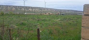 qala qesebesinde torpaq satilir: 42 sot, Kənd təsərrüfatı — 2