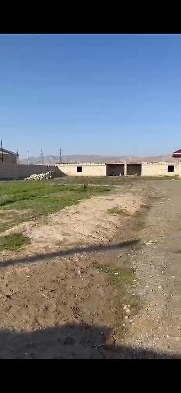 xacmazda bina evleri: 12 sot, Kənd təsərrüfatı, Kupça (Çıxarış) — 9
