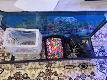 qara fon: Akvaryum komplekti - Şüşə akvaryum: düzbucaqlı forma, qara kənar — 1