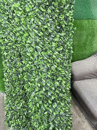 гул: 🌿 Yaşıl Hasarların Topdan və Pərakəndə Satışı Məkanlarınıza estetik — 6