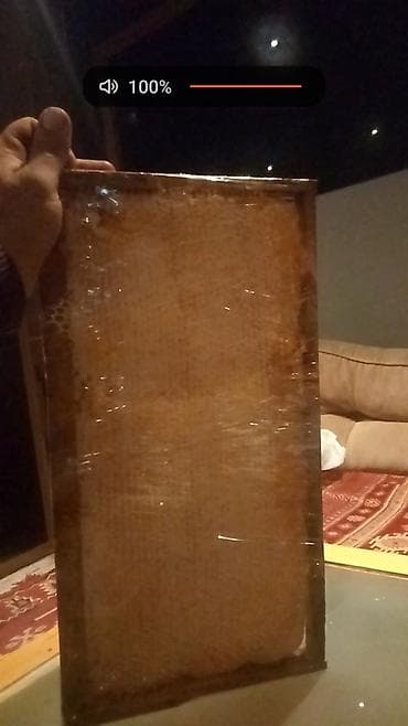 bal arısı satışı: Bal — 1