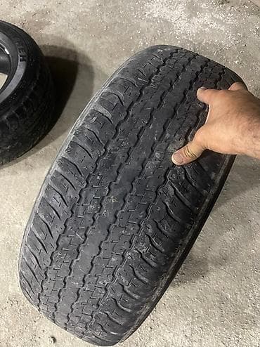 prado diskleri: Dunlap.Tekerler ela — 2