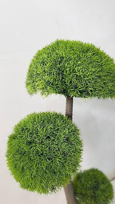 guller: Dekorativ süni bonsai ağacı - Realistik görünüşlü, çoxgövdəli bonsai — 1