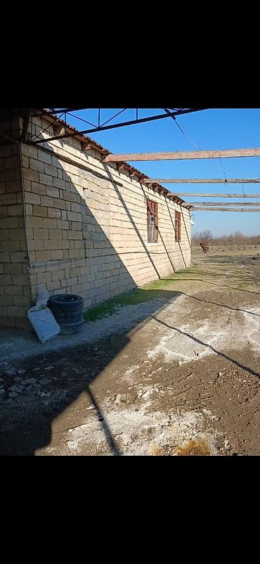 Torpaq sahələrinin satışı: 100 sot, Kənd təsərrüfatı — 4