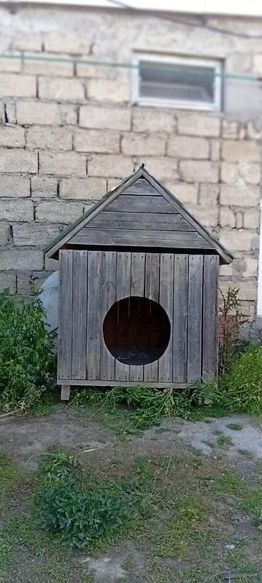 клетка для собак: Taxta it evi - Material: tam ağacdan yığma karkas və şifer tipli dam — 1