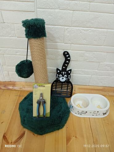 yuxuda ördek balası görmek: Pişik aksesuarları dəsti hamısı bir yerdə 15 AZN. Sumqayıt. Dəstə — 2