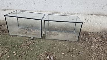 Şüşə akvariumlar – 2 ədəd - Material: qalın temperli şüşə