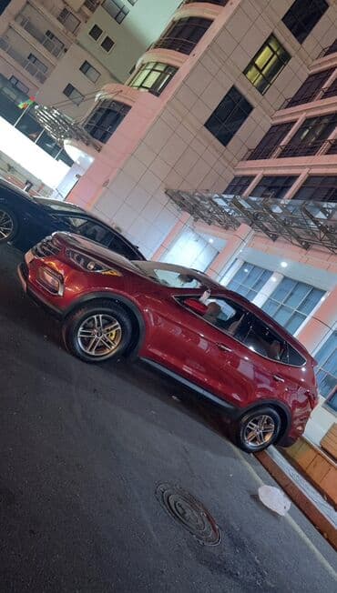 Автозапчасти: Hyundai Santa Fe (qırmızı, SUV) Xüsusiyyətlər: - Ban növü — 2