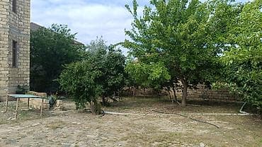 4 sot, Tikinti, Kupça (Çıxarış) — 2
