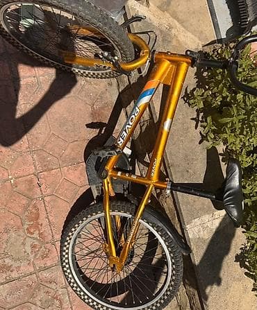 usag manejleri: Uşaq velosipedi – Rover XB (motorsport dizayn) - Rəng: metalik — 1
